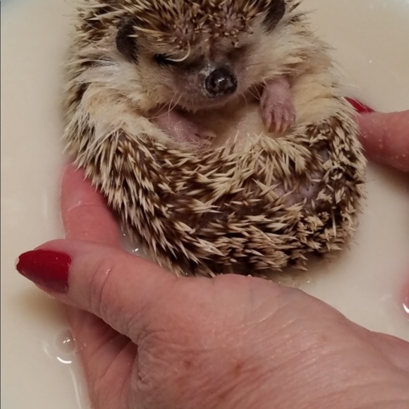 Meet your Posher, Julia - Picture 7 of 11